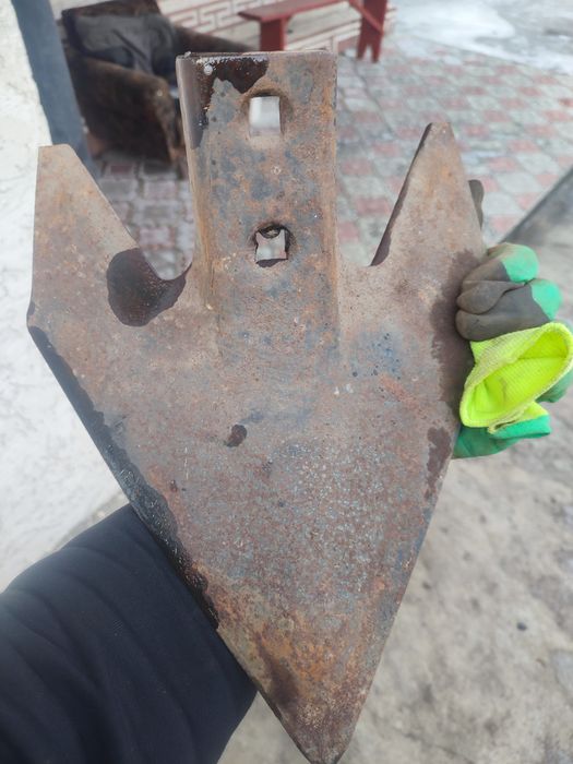 Лапы джондир борго продам