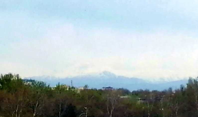 Квартира 1 комнатная 6 этаж Дархан Интеллект МожновИПОТЕКУ