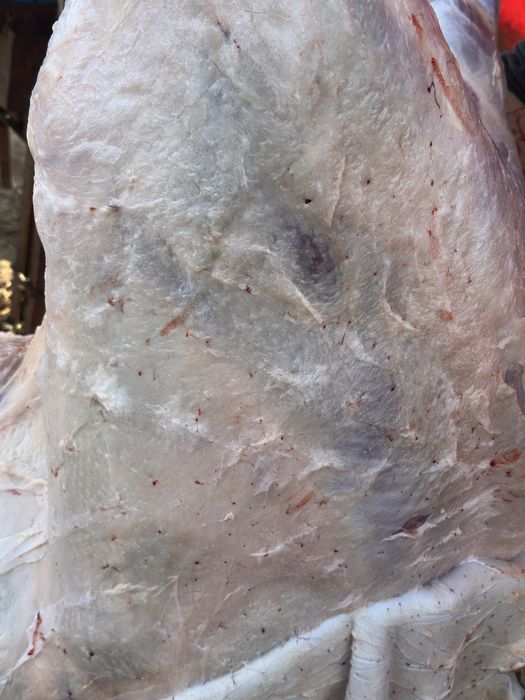 Вынужденный забой