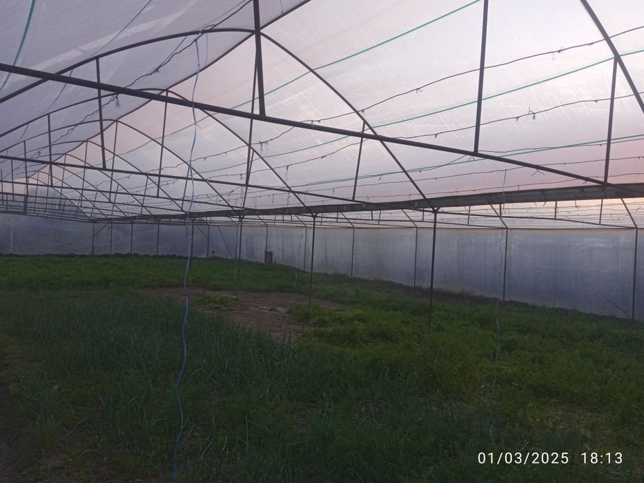 Parnik issiqxona sotiladi