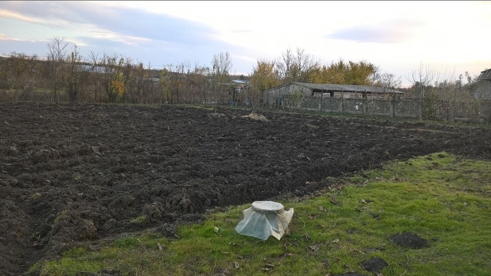 Casă cu Teren 1523 mp – Moșteni (Furculești), 20 km de Alexandria