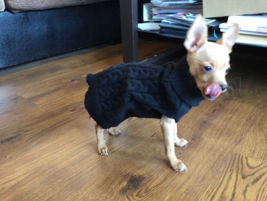 НОВ топъл черен зимен луксозен пуловер за куче от Италия S и M размер