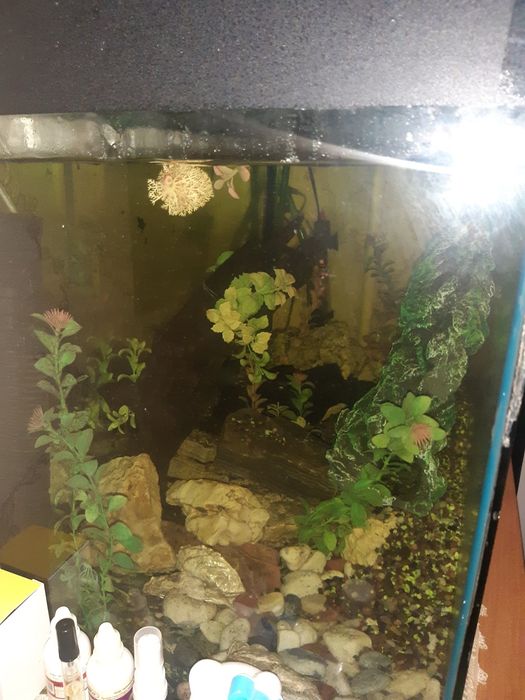 Продам аквариум 240л.