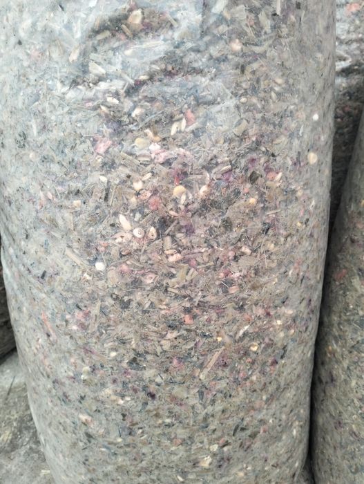 Siloz cu tocatura de legume si cereale ( orz , porumb, mazare,floarea