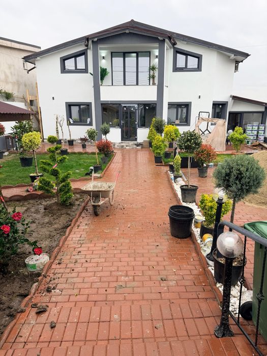 Gazon rulou plante ornamentale pentru gradina