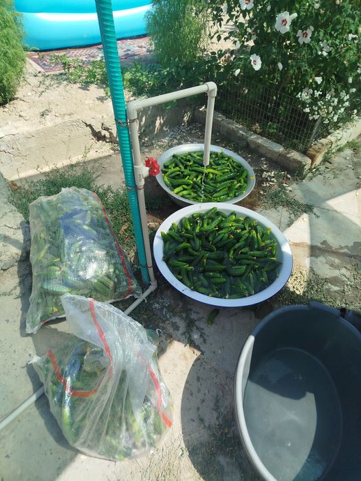 Закрутка банок саления