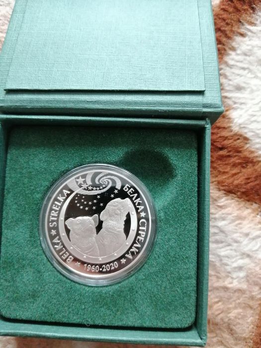 Пруф белка стрелка