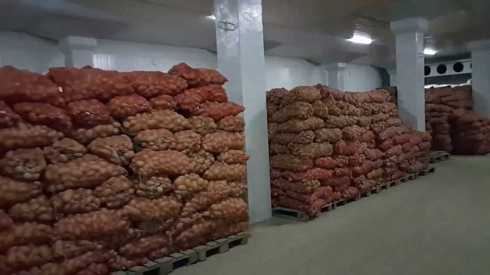 Картошка махсулоти