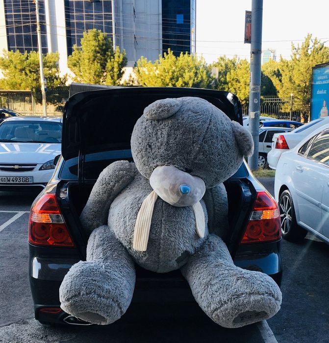 Optom 1+1 Teddi Teddy Teddiy