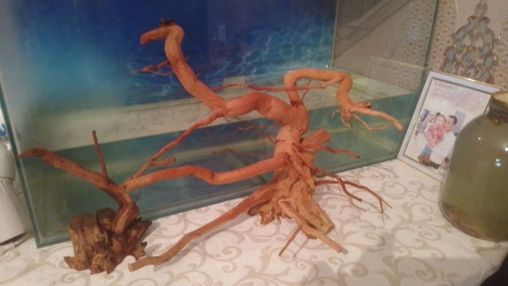 Обмен на аквариумные ростения