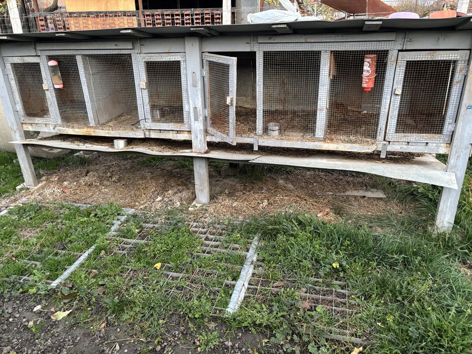 Custi de iepuri si prepelite