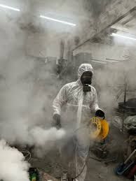 Дезинфекция Дезинсекция Дератизация Dezinfeksiya