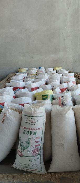 Optom apilka sotamiz ‼️