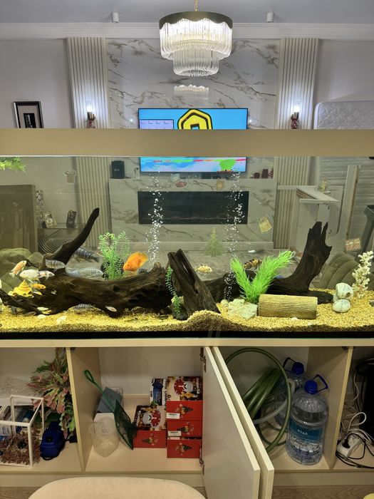 Аквариум премиум с подставкой и рыбками