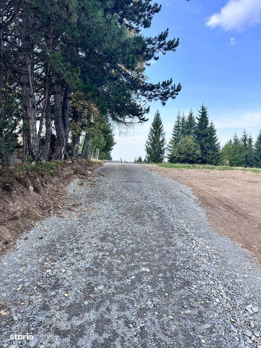 Teren de vânzare in Belis 9arii