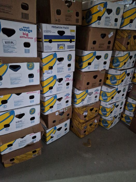 Baxuri  de banane noi de vânzare