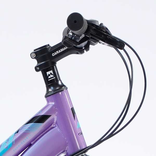 Bicicleta Caraiman 20T-XJL-3, cadru otel, frane pe disc