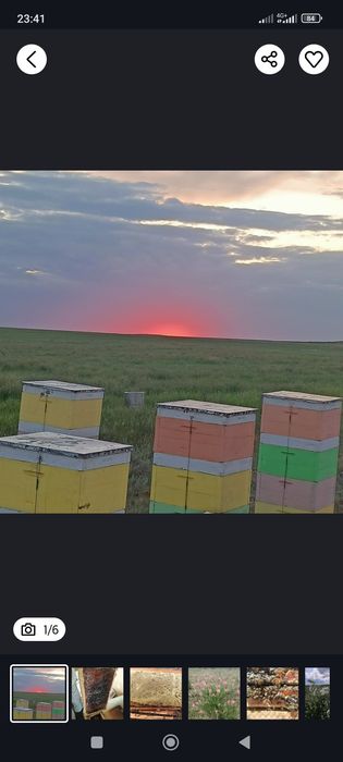 Натуральный мед оптом! И в розницу!