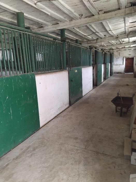 Продава конна база в с.Боровец общ.Кочериново