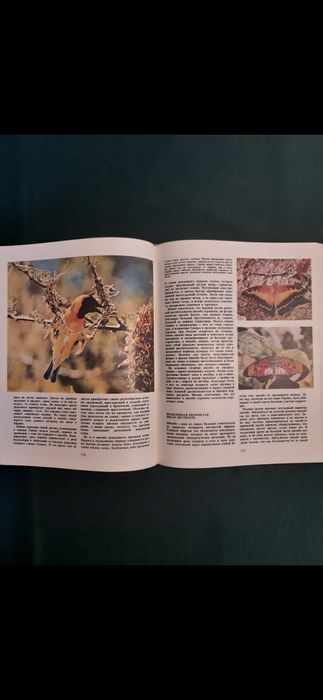 Африка на Л.Браун от 1976 година