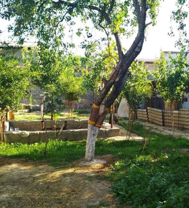 Продам земля дом участок Назарбек срочно