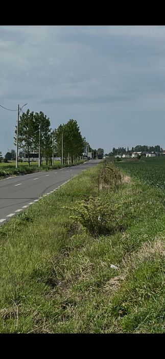 Teren zona Peugeot, DN 65 Pielesti