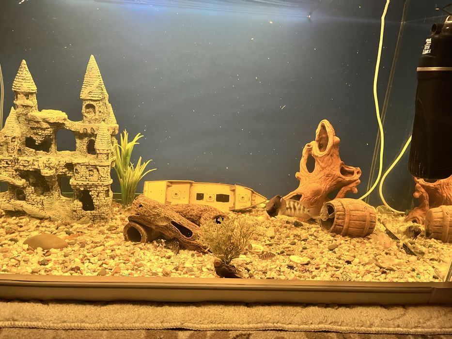 продам аквариум на 290 литров