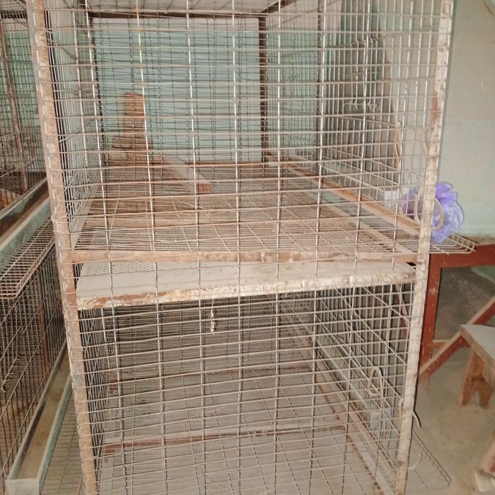 Товук ва куён учун катак сотилади