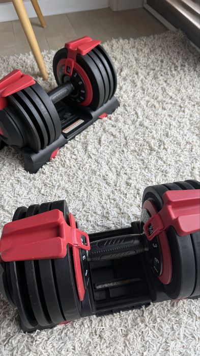 KingSmith Adjustable Dumbbell 24 кг (регулируемая гантель)