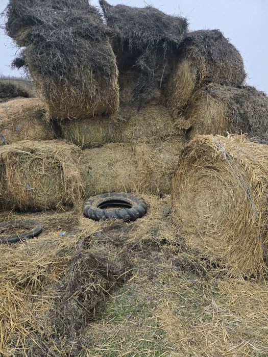 Vand baloti paie, lucerna, ciocani