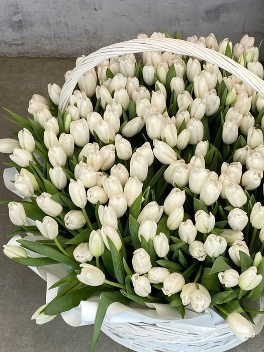 Тюльпаны в розницу, по лучшей цене !