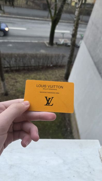 Louis Vuitton skates