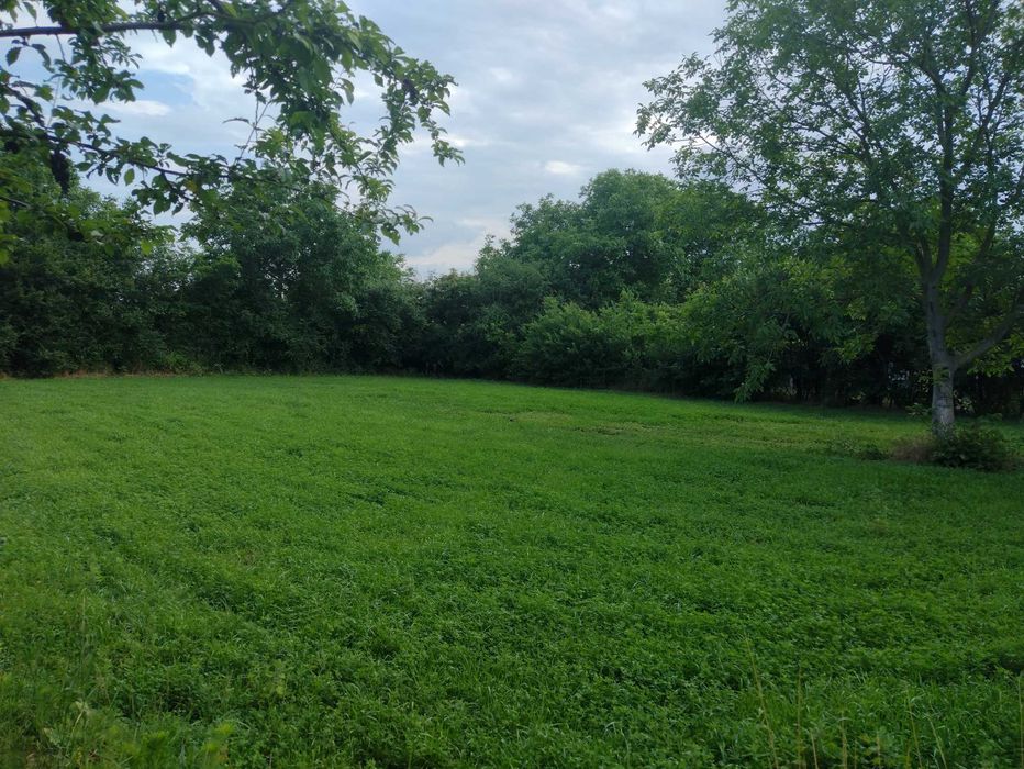 Продава се Къща в с. Сенокос, Област Добрич - 100 кв.м за 357 €/кв.м - Снимка #2