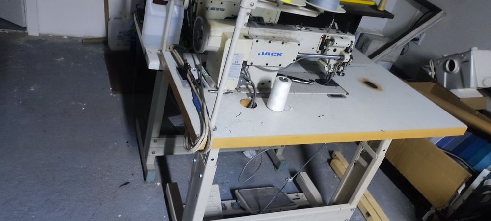 Шагайка тупикал Торг