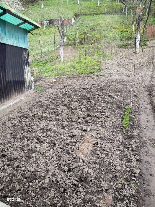 Vand casa la Nadrag zona linistita foarte aproape de centru