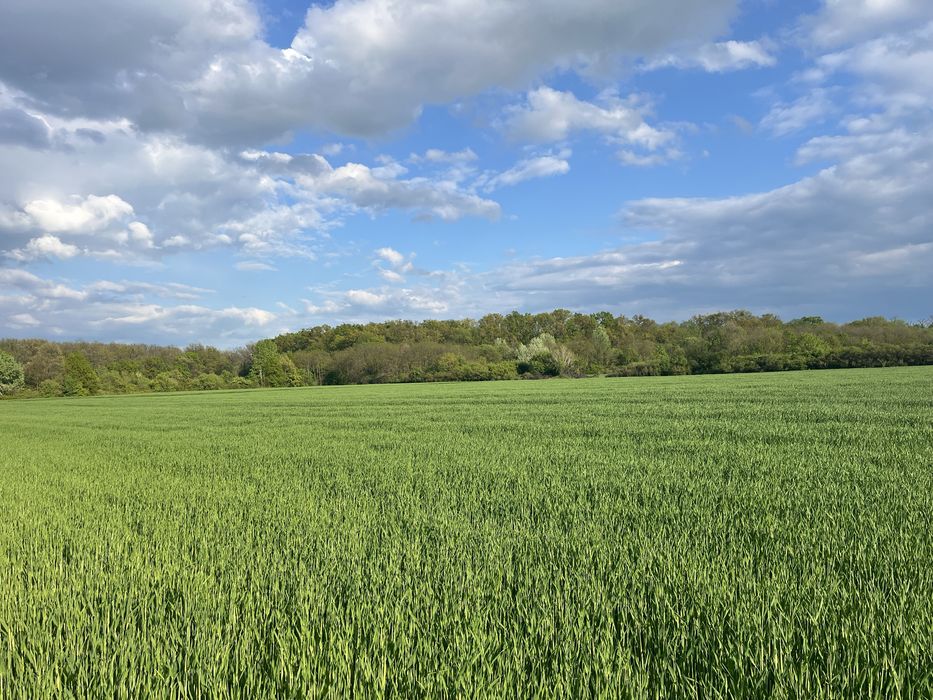 Casa la Sag, zona Manastirii