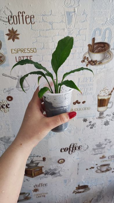 Продам женское счастье