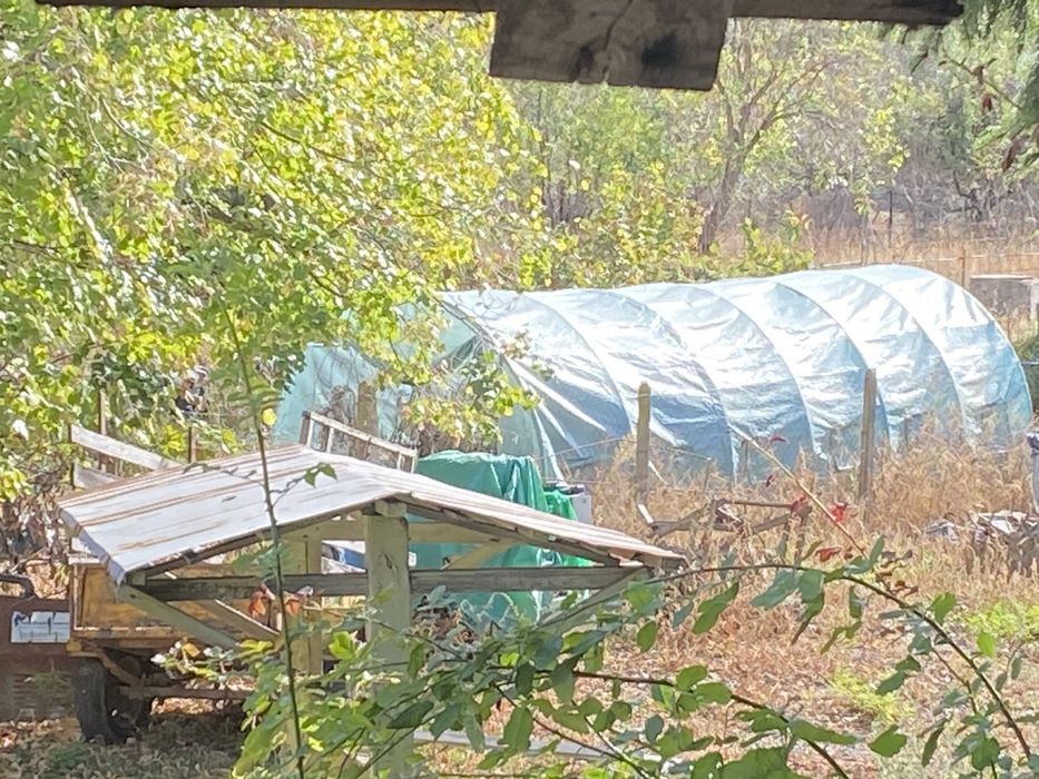 Продава се Къща в с. Балкански, Област Разград - 300 кв.м за 334 €/кв.м - Снимка #8