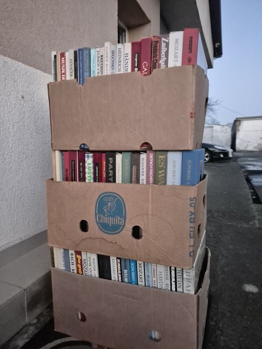 Vând Lot Discuri Vinil colectie 150lp in stare buna cu muzica clasică