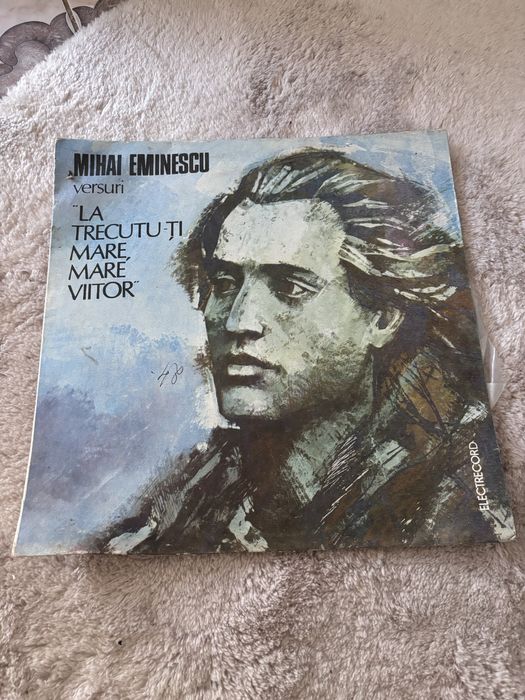 Discuri vinilin