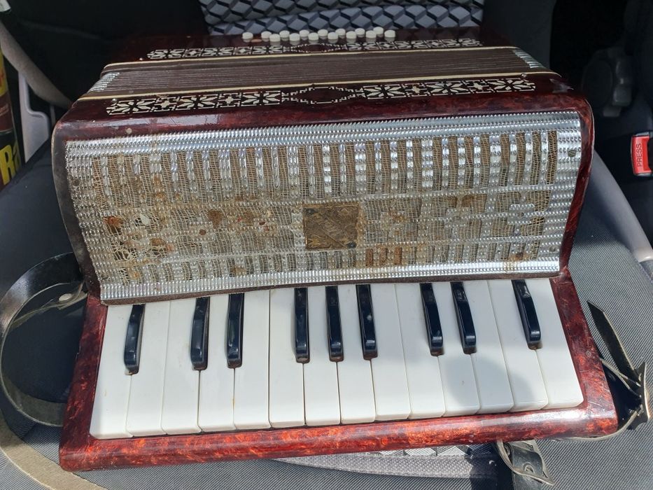 Детски акордеон мальш със кутия малиш