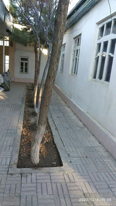 Продам свой дом в г.Навои. (6 соток)