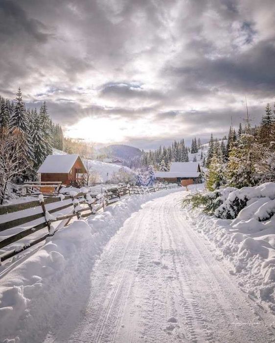 Teren extravilan Poiana Horea