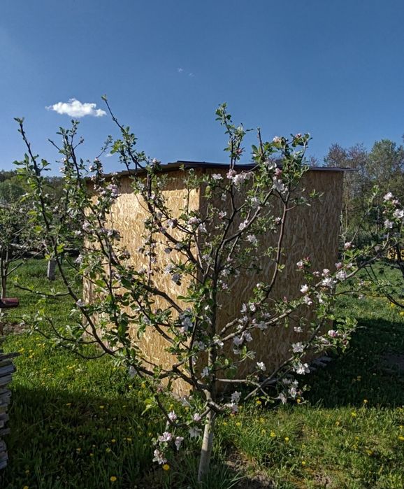 Curățare de copaci și viță de vie