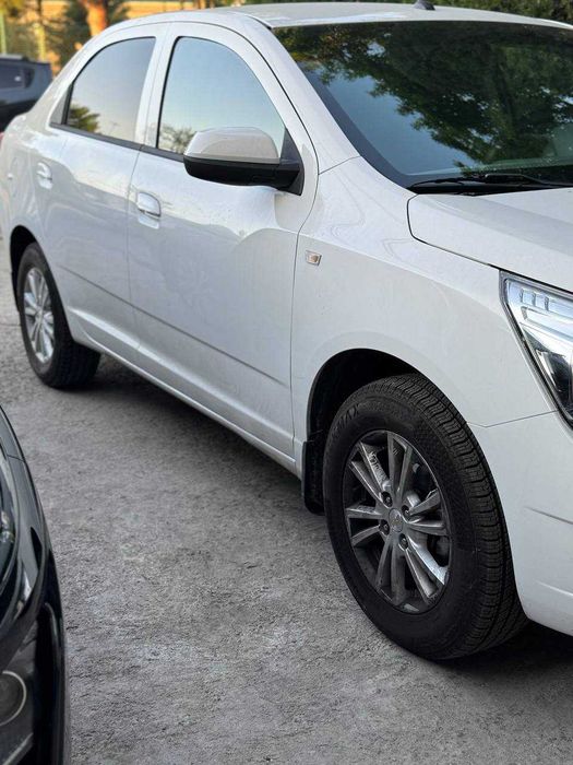 СРОЧНО!!! Коболт МСМ 2026