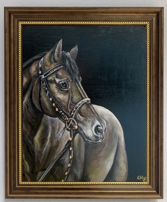 Картина «Akhal-teke»