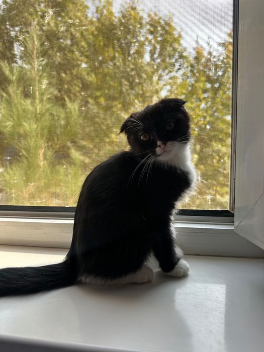 Ikki ayol tasodifiy jinsiy aloqa