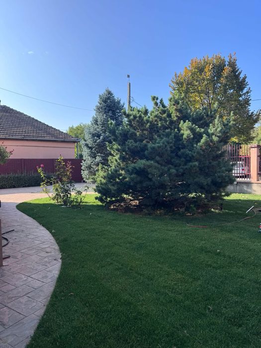 Amenajări spații verzi