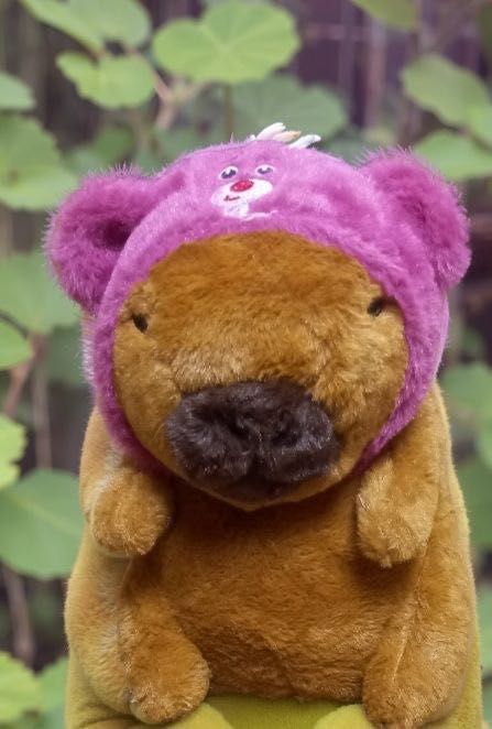 Красивые новые игрушки капибара