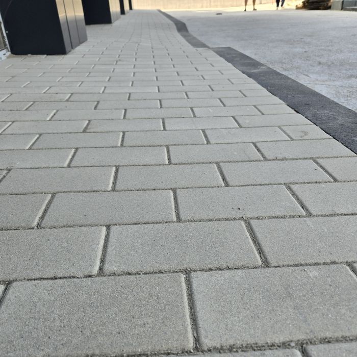 Pavaje pavele standard